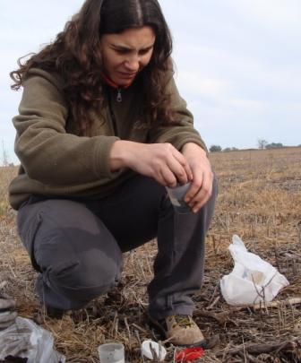 Toma de muestra de un suelo argiudol para identificacion de la mesofauna